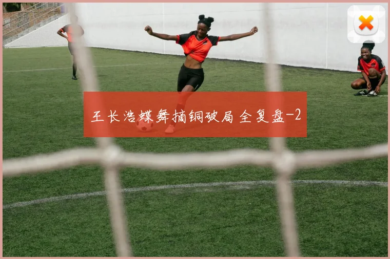 王长浩蝶舞摘铜破局全复盘