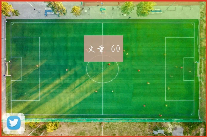 文章_60