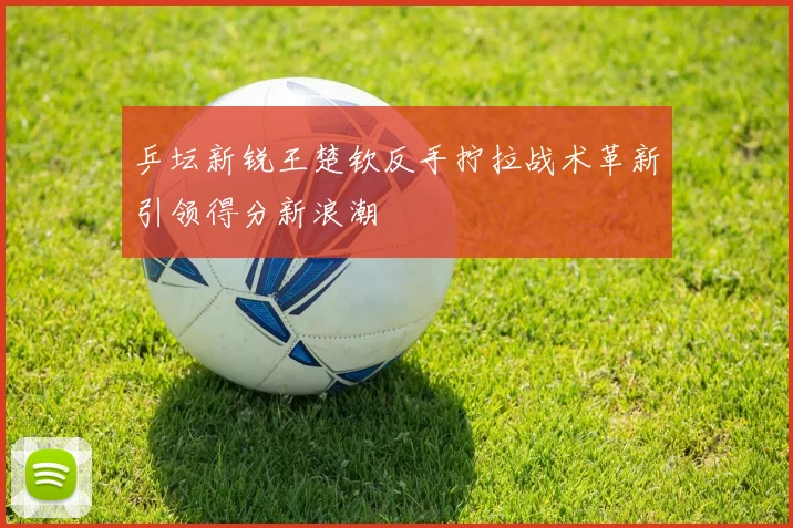乒坛新锐王楚钦反手拧拉战术革新引领得分新浪潮