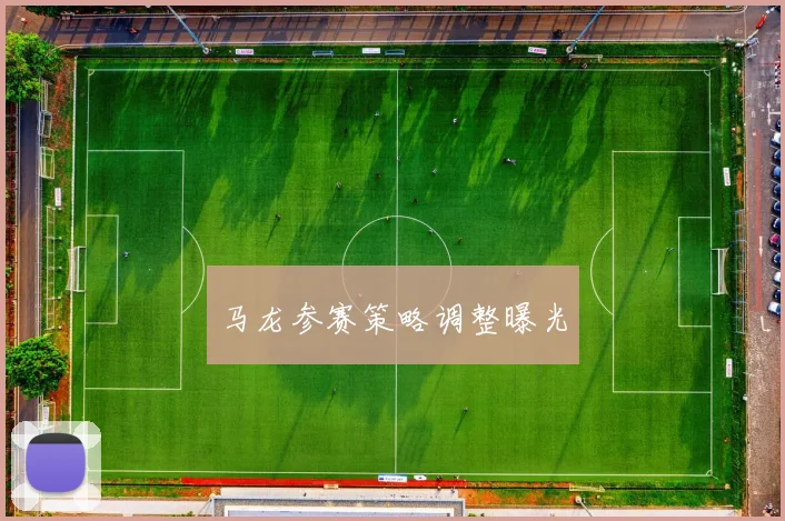 马龙参赛策略调整曝光